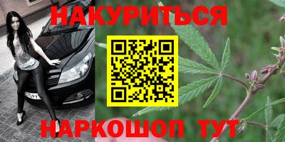 индика Кинель