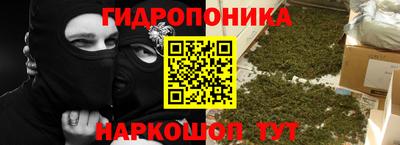 индика Кинель