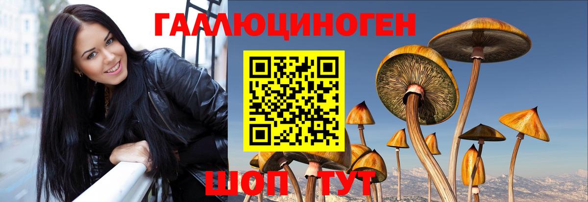 Галлюциногенные грибы мицелий  закладка  Красноярск  Вход с VPN 